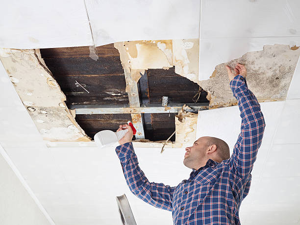 Best Crawl Space Mold Remediation  in Crugers, NY